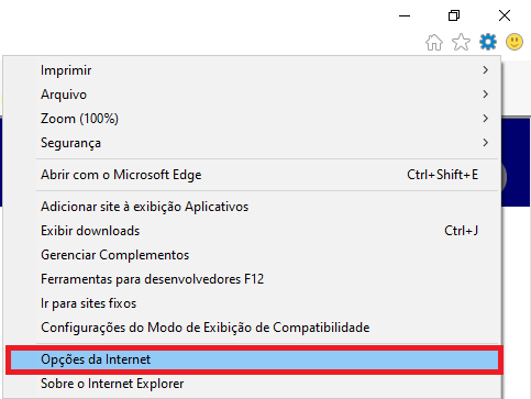 Figura 4 - ' Opções da Internet'
