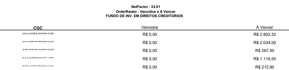 Figura 8 - Relatório PDF das informações do arquivo.